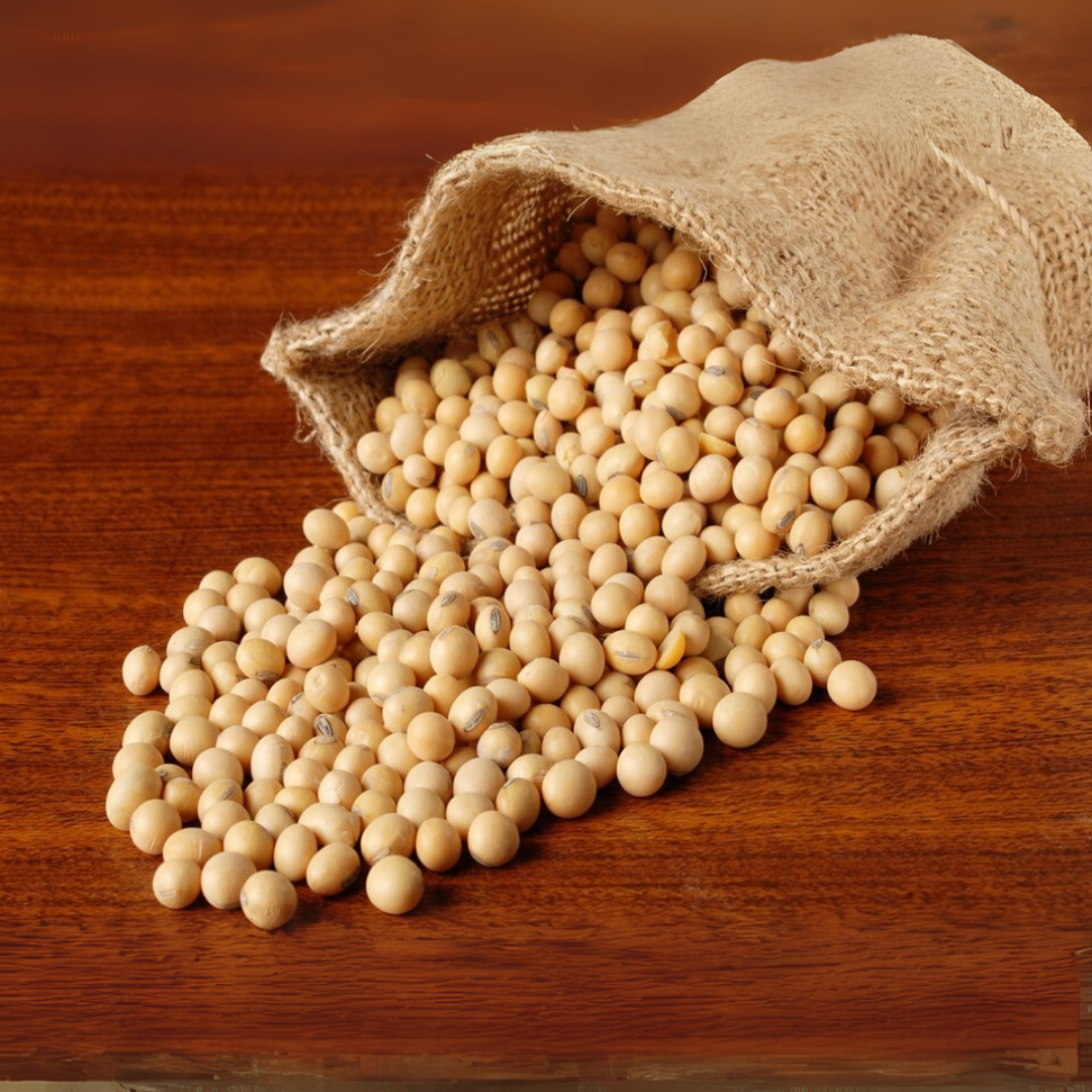 Soya (GMO SOYA BEANS)